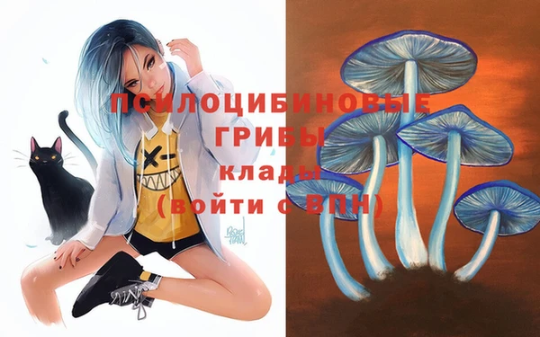spice Магадан