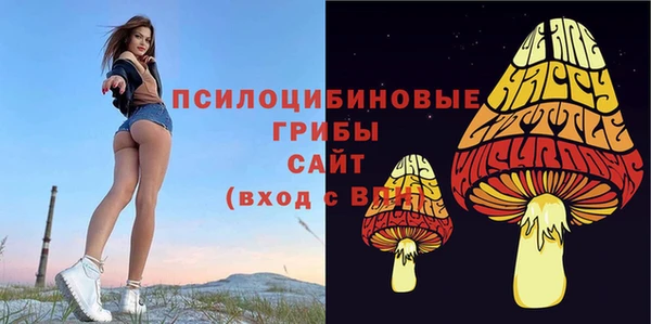 кристаллы Алексин